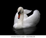 Seller's picture