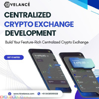 Launch Your Own Centralized Crypto Exchange with Advanced Features