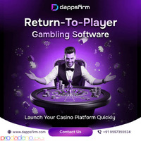 Convert Traffic into Profit via Return-To-Player Gambling Software Setup