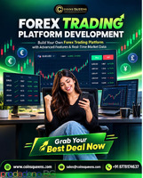 Crypto Forex Trading Platform Development – Year-End Special Offer