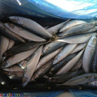 Frozen Atlantic Mackerel Fish For Sale In Europe / Norway Mackerel Fish / Seafood Produw - Изображение 6/6