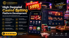 Launch a High-Demand Casino Betting Platform for Just $999