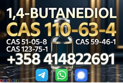 CAS 110-63-4 BDO Liquid 1,4-Butanediol 1 4 BDO Warehouse Supply For Excellent Solvent