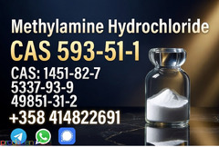 Buy High Quality CAS 593-51-1 Methylamine Hydrochloride at Best Price