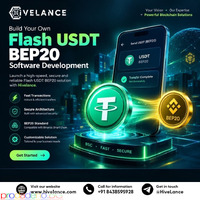 Understanding Wallet Integration and Transaction Monitoring in USDT Flasher Software Development