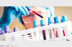 Изготвяне на докторски дисертации