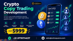 Crypto Copy Trading Development at Just $999 – Halloween Offer